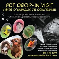 Pet drop-in visit / Visite d’animaux de compagnie