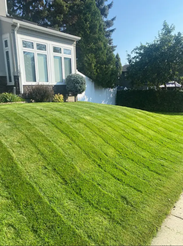 $20 Lawn Mowing & $60 Gutter Cleaning Services 63008304634497123