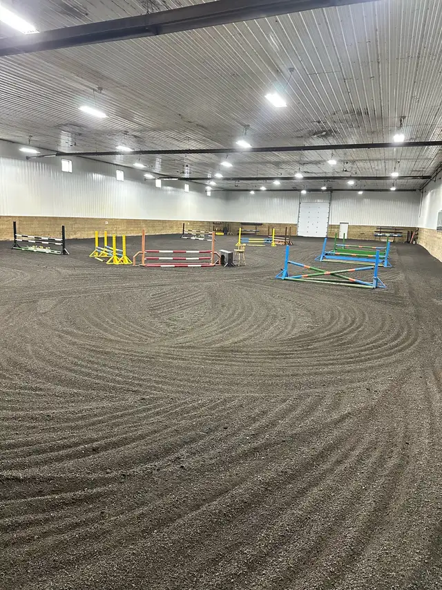 Horse Riding Lessons483716539205570564
