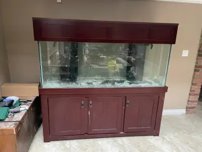 150 Gallon Marine tank with 2 built in overflows, top and stand. Full set up needs a cleaning. D/C a...