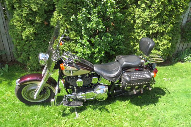 1998 HD Fat Boy ( 95th Anniversary Edition) Motorcycle in Street, Cruisers & Choppers in Cranbrook