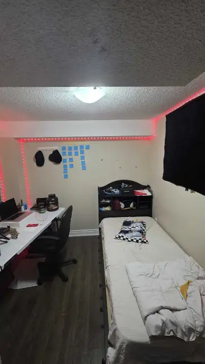 Private room for Rent – Available November 1. A private room is available for rent in a clean baseme...