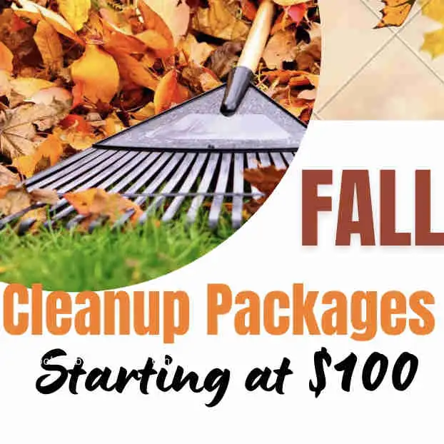 Leaf Cleanup Packages64335576907265120