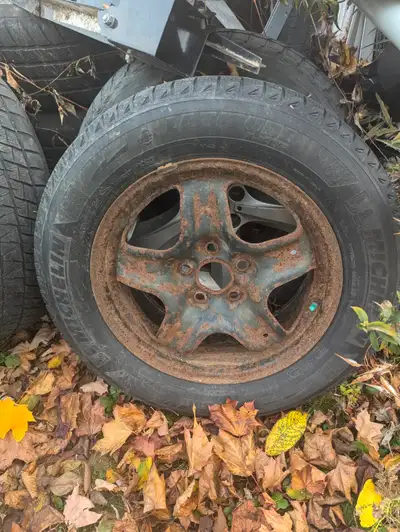 I have these four tires in my back yard I would like to get rid of before the snow comes. Please cal...