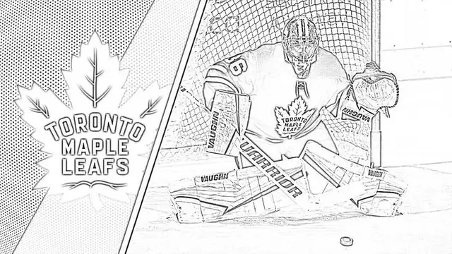 Hockey Goalie Needed63611972217473120