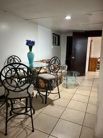 Basement in Hamilton E