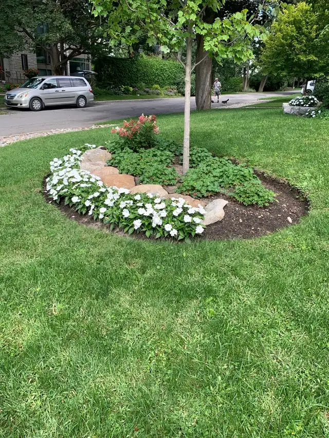 Westboro Yard Work561546765052170241