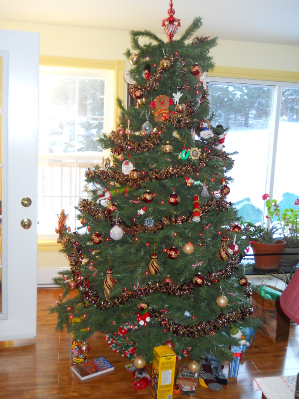 Free Christmas tree in Free Stuff in Muskoka