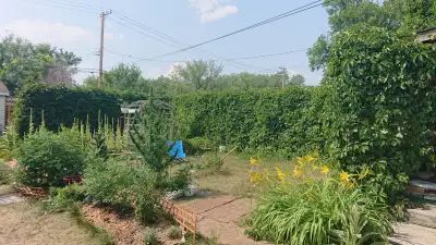 Funky Riversdale House with Massive Garden  + AIR CONDITIONING