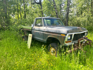 1978 Ford F 250