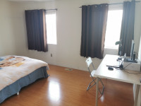 room for rent yonge/hwy7