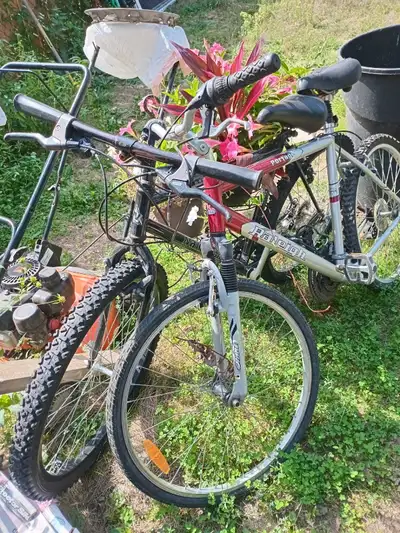 bike for sale 100$ obo, View more