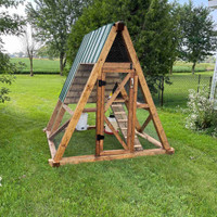 Backyard mobile chicken coop 