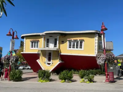 Helper wanted , View more