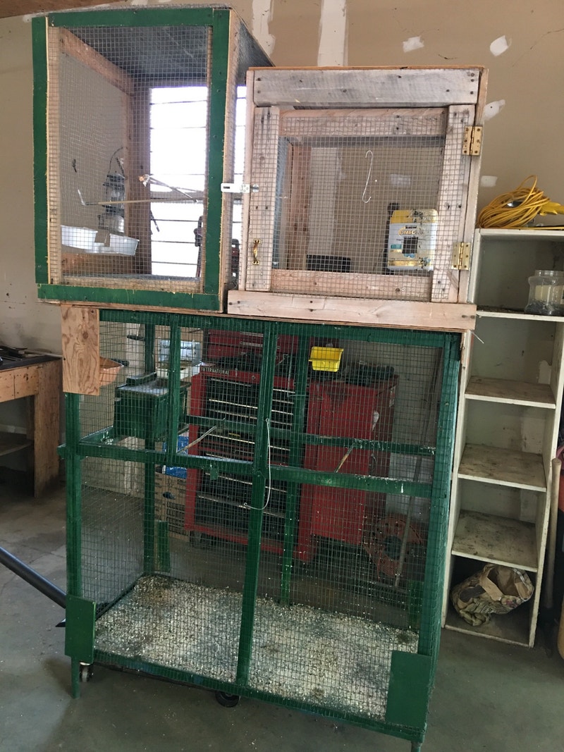 Free bird cage Free Stuff Hamilton Kijiji