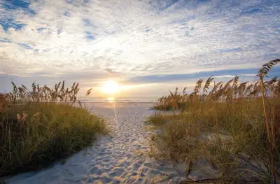 New Years on the Beach, View more