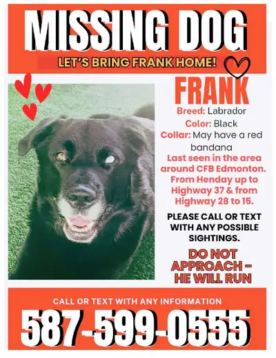 Lost Terrified Dog~North of Edmonton/Sturgeon County, View more