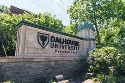 Hi! I’m Dhruv, a graduate of Algonquin College in Web Development and Internet Applications. I offer...