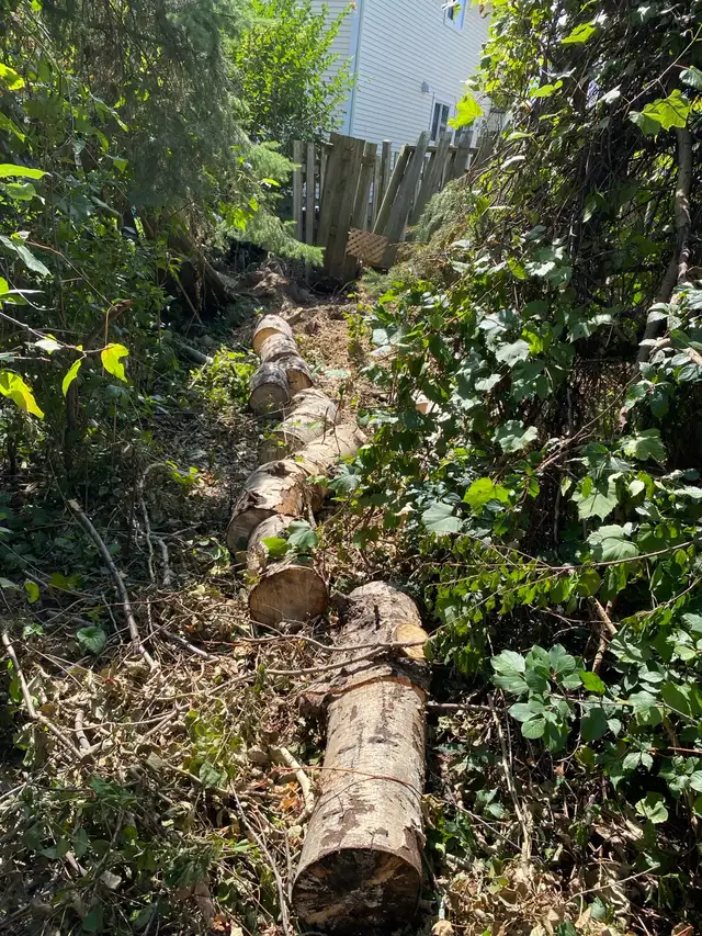 Ramassage des déchets et démolition de terrasse/hangar, in Other in Gatineau - Image 8