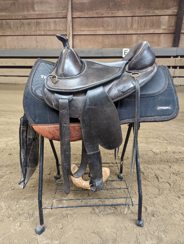 Torsion Treeless Saddle in Equestrian & Livestock Accessories in Victoria