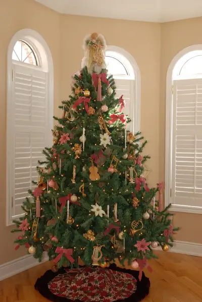 7.5ft Balsam Fir Christmas Tree, View more