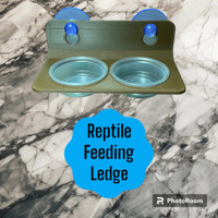 Reptile Feeding Ledge