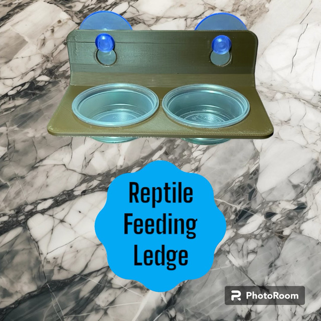 Reptile Feeding Ledge (2 Sizes) in Reptiles & Amphibians for Rehoming in Regina