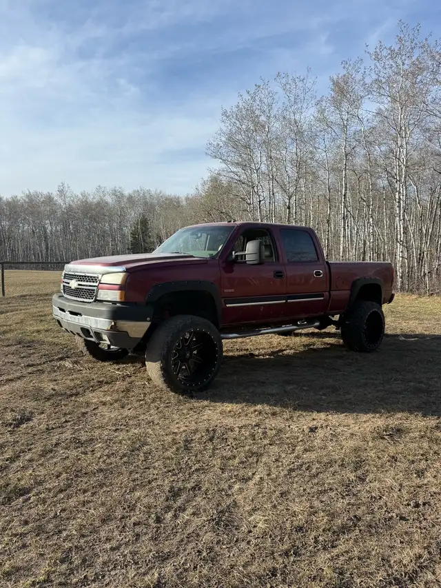 2005 lly 452025834999664643
