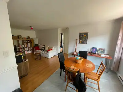Chambre non meublée, coloc dans un 4 1/2, 590$/mois, 1er juillet