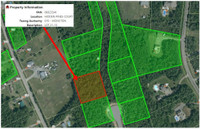 1.25 Acre Wooded Lot