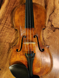 1886 Maggini style antique violin fully restored