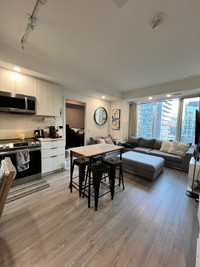 A Brand new Fully furnished 2 Bed+2Bath condo for lease 