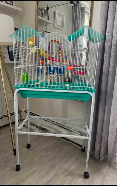 Two budgies  birds plus cage stand/decor/food/toys, View more