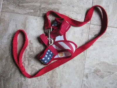 HARNAIS ET COLLIER POUR PETIT CHIEN AVEC LAISSE. EN EXCELLENTE CONDITION ; 15$ POUR LES DEUX. SACS E...