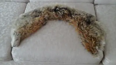 FOX FIR COLLARS FOR WINTER COATS, View more