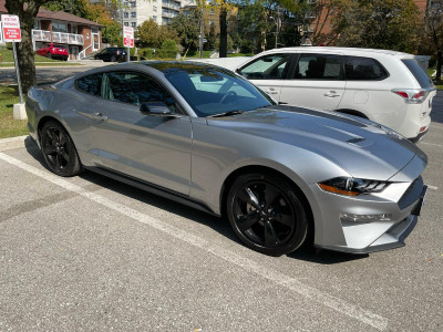 Selling / Loan Transfer:  2021 Ford Mustang EcoBoost Fastrack