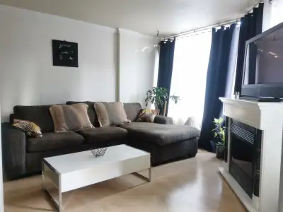 Spacious one bed room apartment downtown