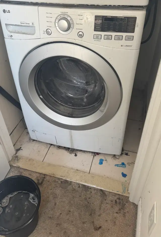 cleaning 528931185062717446