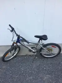 Various Teen And Kids Bikes For Sale