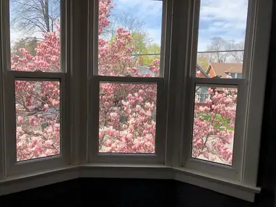 Very spacious 2 story 2 bedroom apartment in a house with a lot of indoor and outdoor spaces. Ideal...