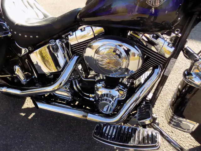 Harley Davidson Heritage Softail 2001 in Street, Cruisers & Choppers in Ottawa - Image 4
