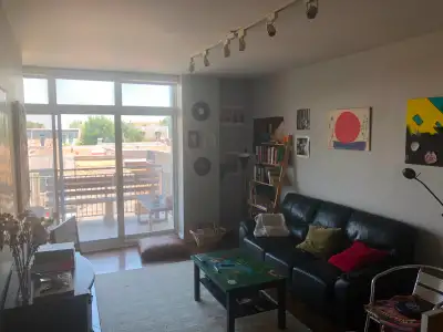 Sunny Room For Rent in Spacious Apartment