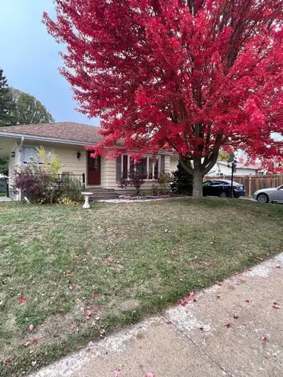 Male Student preferred. Renovated 3 bedroom with 2 existing roommates on the main floor. Owner occup...