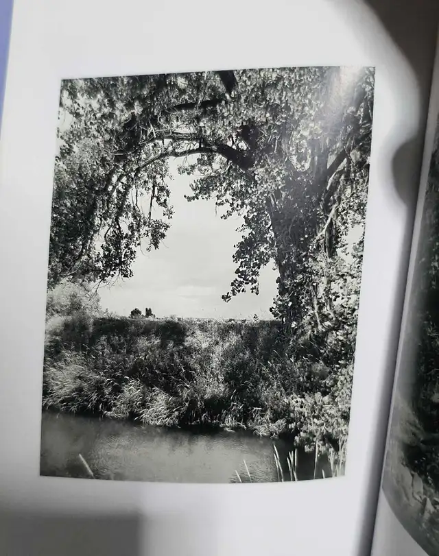 Along Some Rivers: Photographs and Conversations by Robert Adams in Non-fiction in Annapolis Valley - Image 7