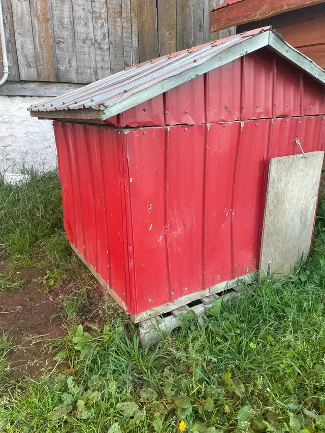 Steel dog house in Accessories in Owen Sound - Image 5