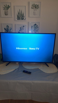 43 inch Hisense Roku Smart Tv
