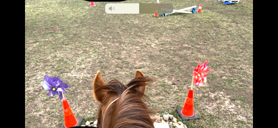 Paso fino mare well broke, cowboy challenge, trails, View more