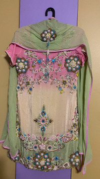 Pakistani Indian dress 