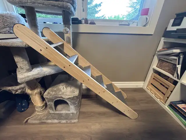 Pet Ladder in Other in Calgary - Image 3