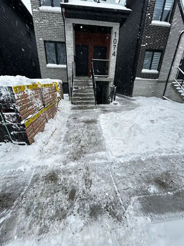 snow removal 65203783727491121